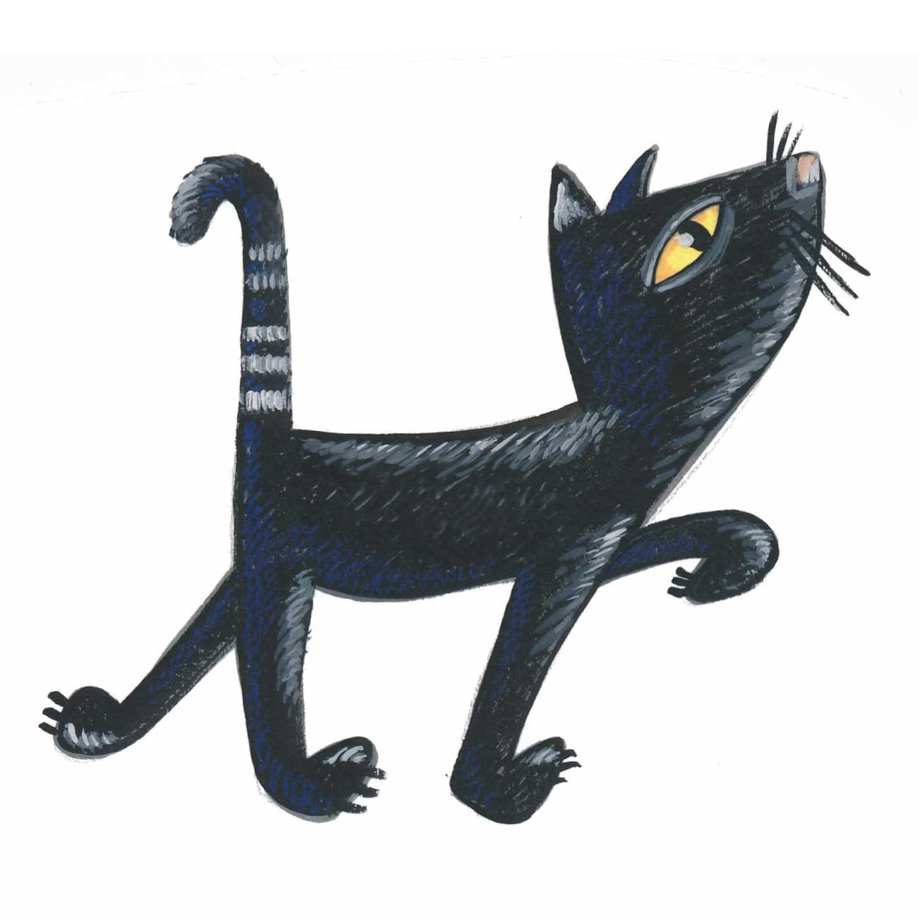 zwarte kat loopt rond